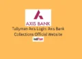 Tallyman Axis Bank